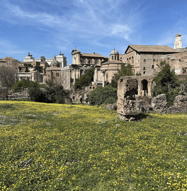 Colosseum, Roman Forum, Palatine Hill - the PRIVATE TOUR - Key Highlights You’ll Feel Immediately