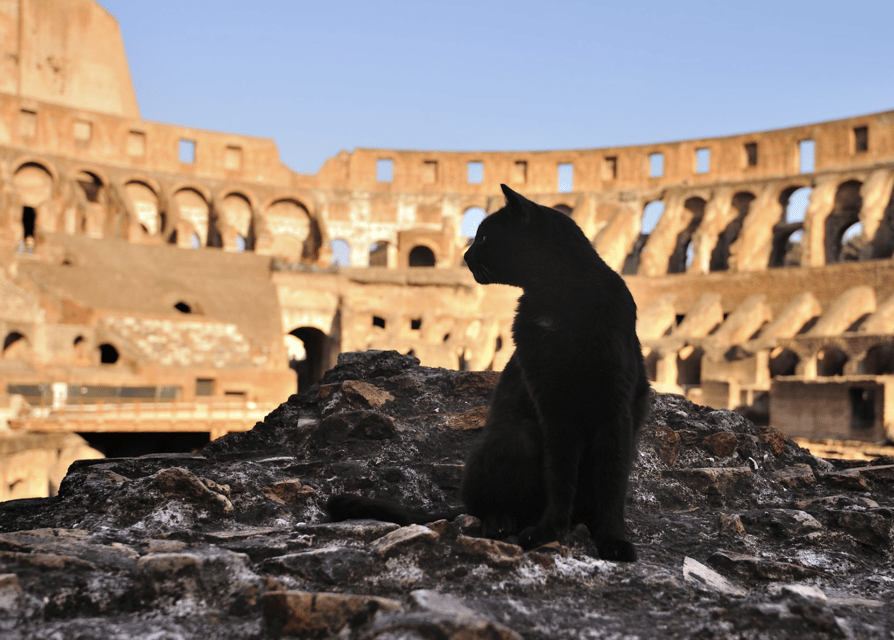 Colosseum, Roman Forum, Palatine Hill - the PRIVATE TOUR - Entering the Colosseum for Gladiator Stories That Stick
