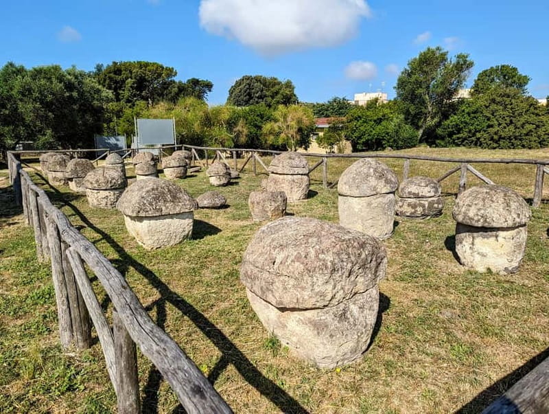Day trip Rome: Tarquinia and Cerveteri, Etruscan tour - Should you book this Etruscan day trip?
