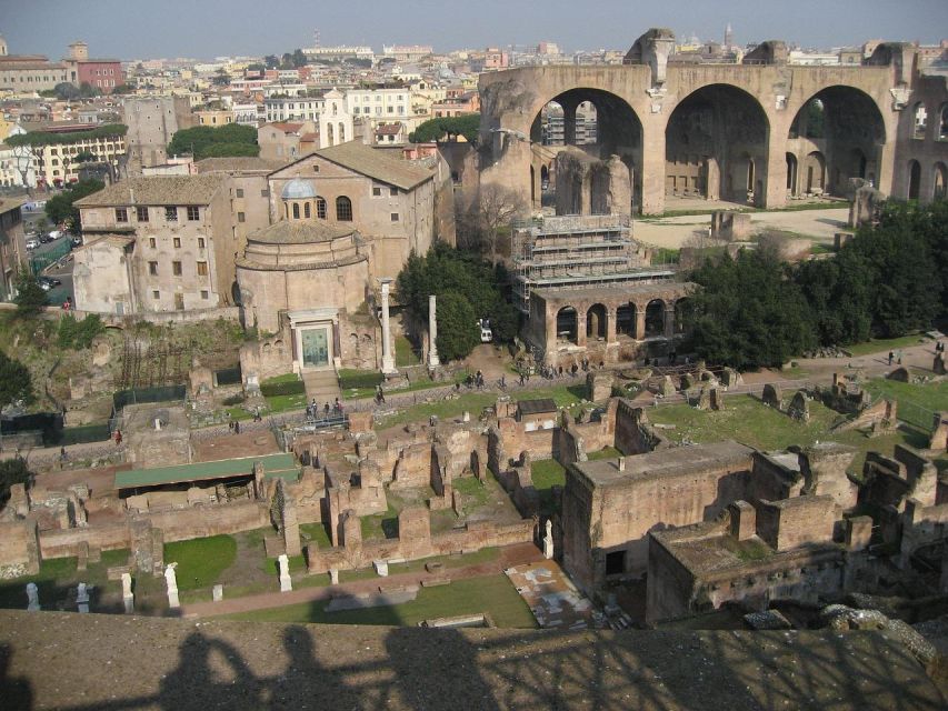 Domus Tiberiana, Palatine Hill and Roman Forum Guided Tour - Palatine Hill ruins: the legendary birthplace of Rome