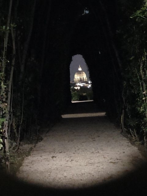 Elegant Rome by night tour and dinner in a local restaurant - Janiculum Hill photo stop for skyline views