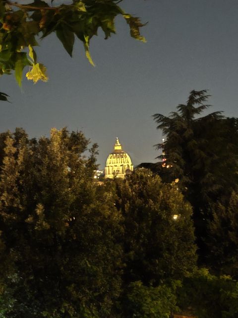 Elegant Rome by night tour and dinner in a local restaurant - Colosseum at night: an efficient stop that still delivers