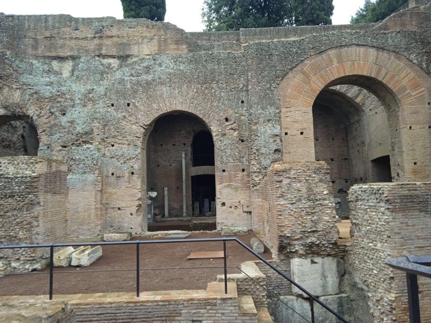 Exclusive tour of Ancient Rome and Domus Tiberiana - The Roman Forum: politics, public life, and the “why” behind the stones