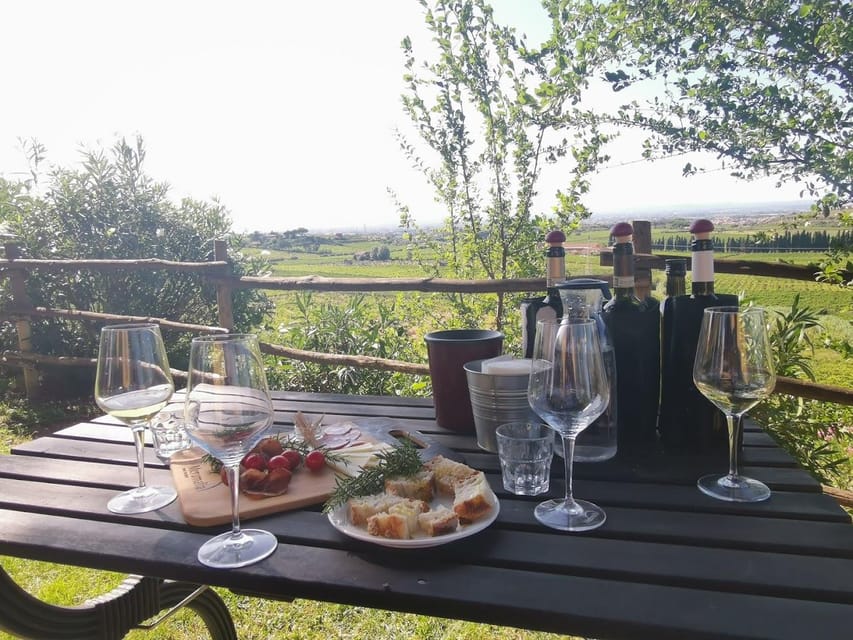 Frascati: 3-Hour Wine and Oil Tasting with Lunch/Dinner - Frascati: Why this wine town belongs on your Rome list