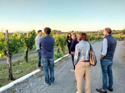 Frascati: 3-Hour Wine and Oil Tasting with Lunch/Dinner - Meeting at Vicolo di Prataporci and starting with a drink