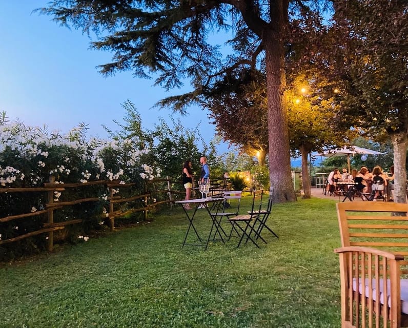 Frascati: 3-Hour Wine and Oil Tasting with Lunch/Dinner - Vineyard views on the way: countryside calm without the time sink