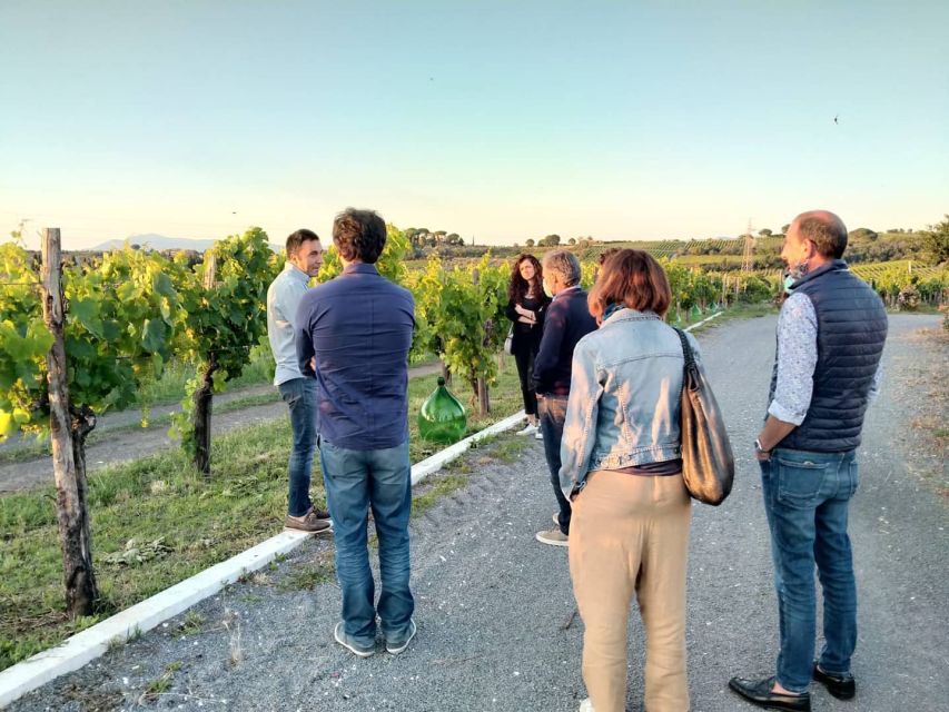 Frascati: 3-Hour Wine and Oil Tasting with Lunch/Dinner - Meeting at Vicolo di Prataporci and starting with a drink
