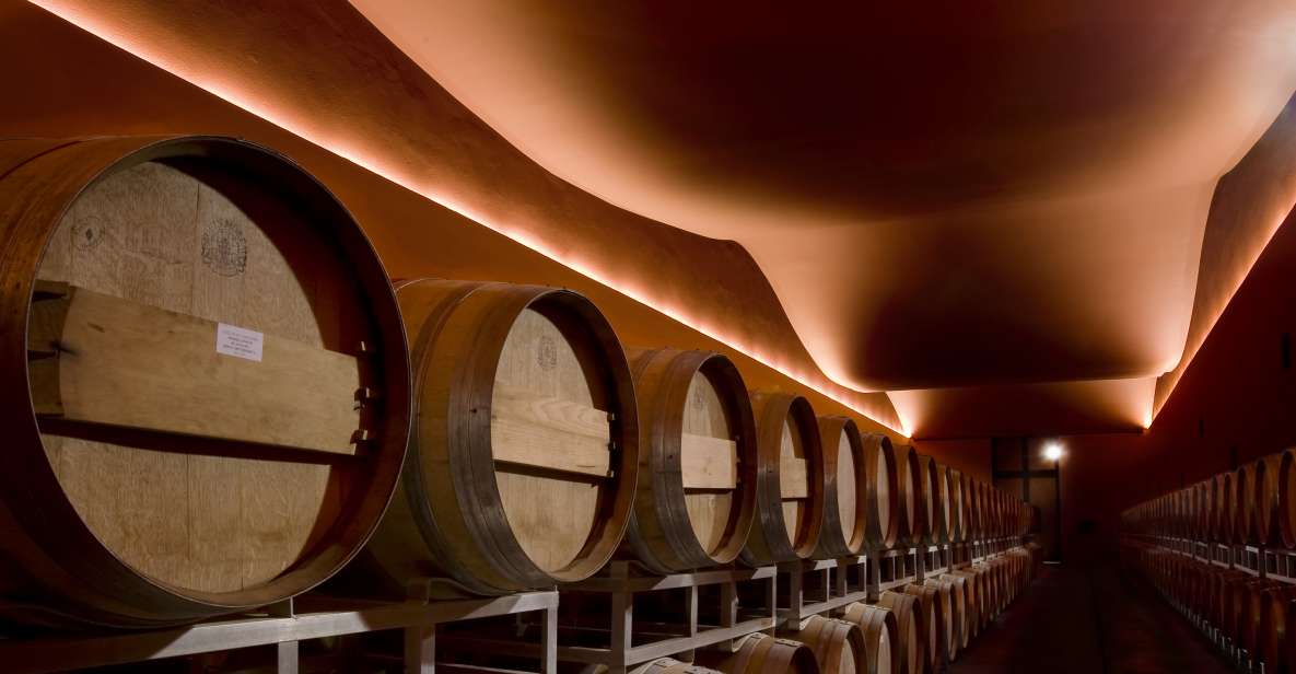 From Civitavecchia: Tuscany-Latium Wine Tour with Tastings - Two cellar visits, one DOCG highlight, and a guide named Mirko