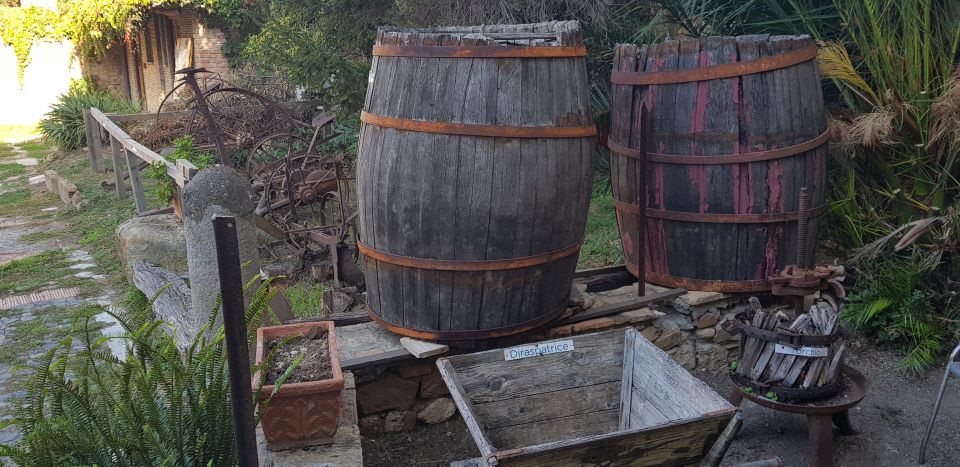 From Civitavecchia: Tuscany-Latium Wine Tour with Tastings - Roccapesta farm and the Morellino di Scansano DOCG