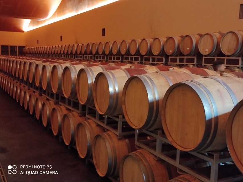 From Civitavecchia: Tuscany-Latium Wine Tour with Tastings - How long you’ll be out (and how to pace your day)