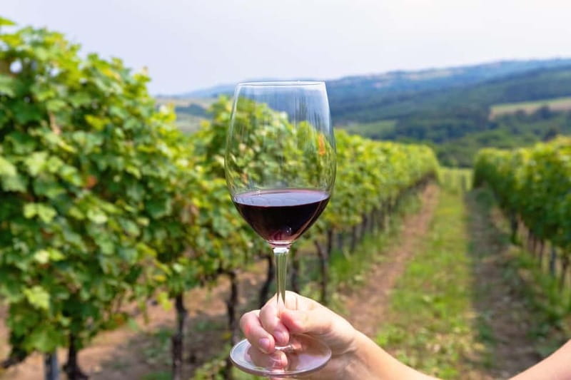 From Roma: Montepulciano and Montalcino, on the Wine Routes - Key highlights you’ll care about