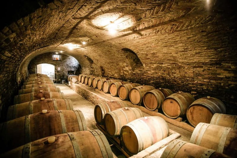 From Roma: Montepulciano and Montalcino, on the Wine Routes - Should you book this Montepulciano and Montalcino wine tour?
