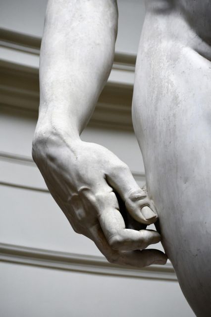 From Rome: Florence and Accademia Guided Tour - Should You Book This Rome to Florence Accademia Tour?