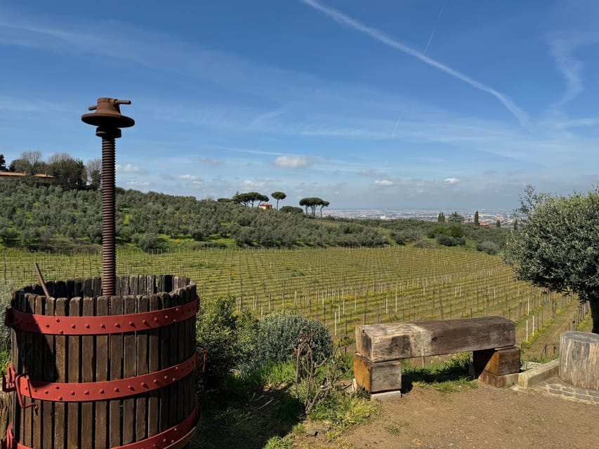 From Rome: Frascati Wine Tour with Lunch and Vineyard tour - Quick highlights that make this tour worth your time