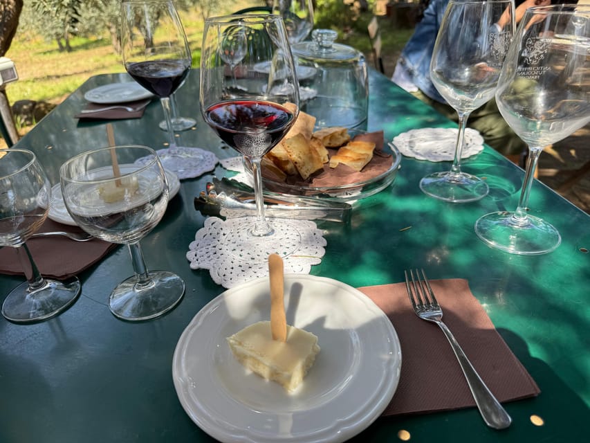 From Rome: Frascati Wine Tour with Lunch and Vineyard tour - Lunch at an old osteria: Roman classics and a smart pairing