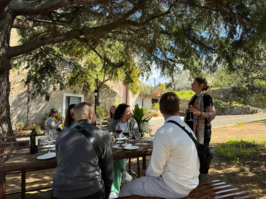 From Rome: Frascati Wine Tour with Lunch and Vineyard tour - Who should book this tour (and who might not love it)