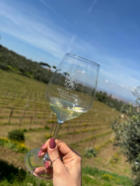 From Rome: Frascati Wine Tour with Lunch and Vineyard tour - The simple verdict: should you book?