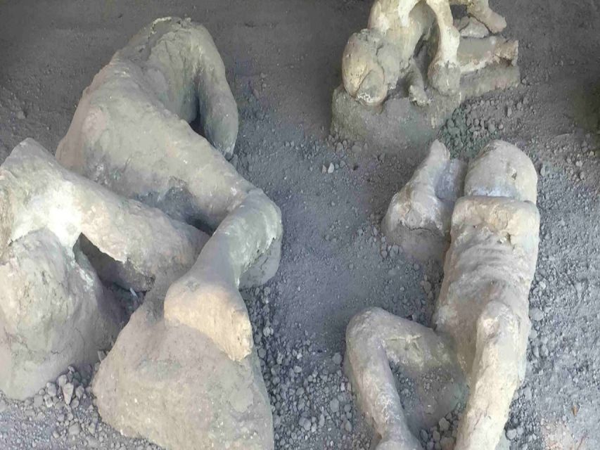 From Rome: Pompeii and Naples, Full Day Tour with Lunch - Pompeii with an official guide: Macellum, Thermal Baths, and the daily rhythm