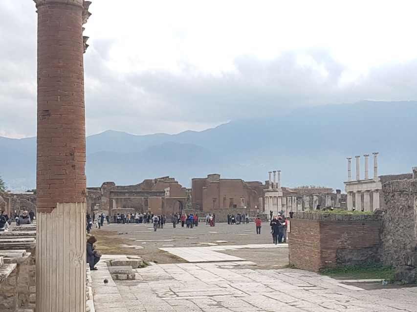From Rome: Pompeii and Naples, Full Day Tour with Lunch - The minivan ride: 2.5 hours each way, plus a mid-morning break