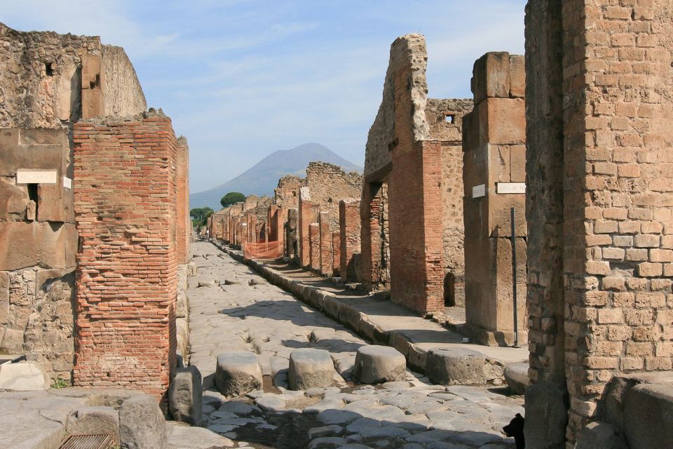 From Rome: Pompeii & Naples Small-Group Day Tour with Lunch - Rome-to-Campania Transport: Comfort, Timing, and a Real Assistant