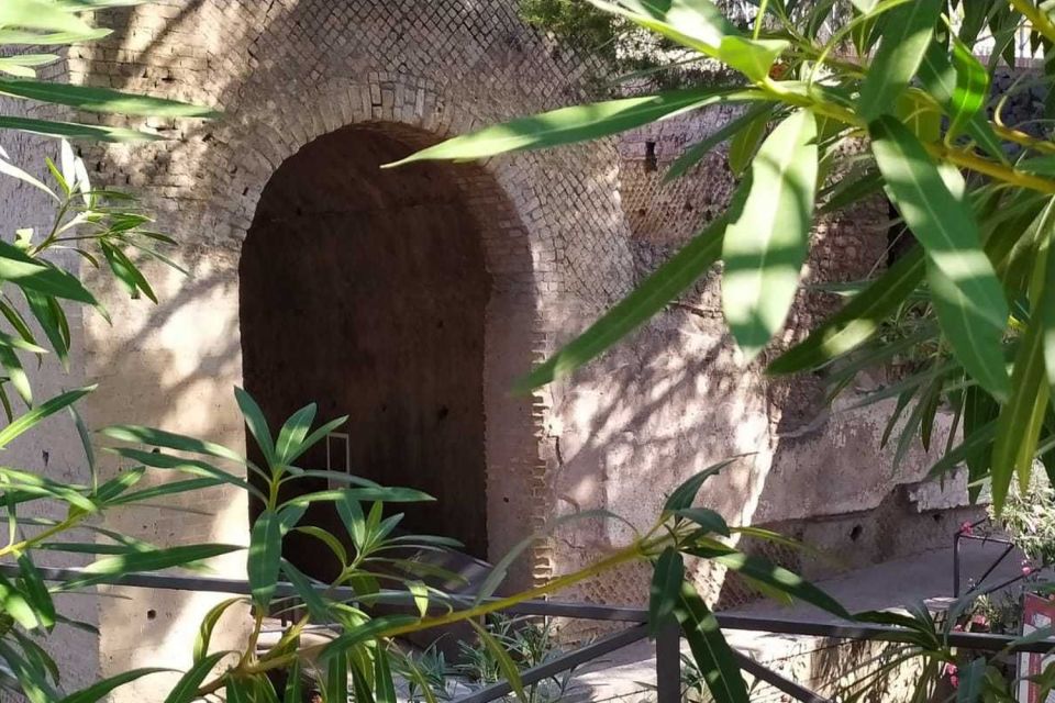 From Rome: Pompeii & Naples Small-Group Day Tour with Lunch - Biologic Farm Lunch and Wine Tasting: Included, Relaxed, and Not the Main Act