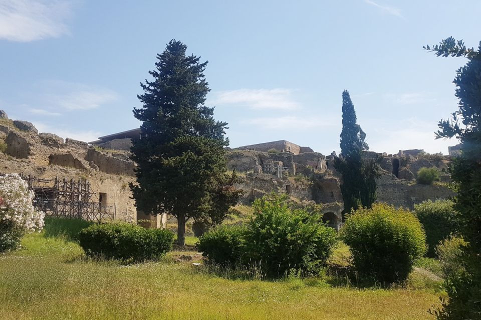 From Rome: Pompeii & Naples Small-Group Day Tour with Lunch - Price and Value: What You’re Really Paying For