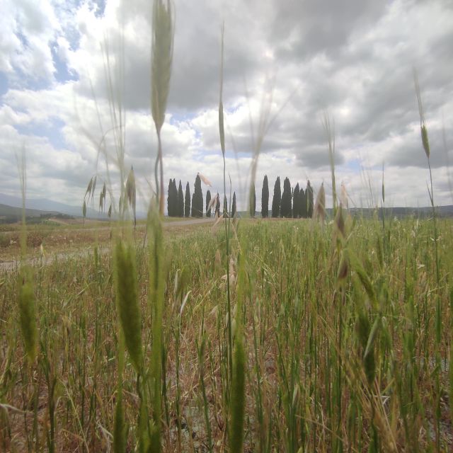 From Rome: Private Day-Tour of Tuscany - Timing and pacing: what a 10-hour itinerary means in real life
