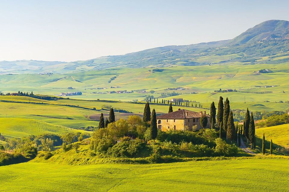 From Rome: Private Day-Tour of Tuscany - Price and value: what $190.32 per person buys you