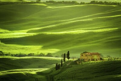 From Rome: Private Tuscany Day Trip - Montepulciano: Piazza Grande, hill views, and Nobile wine town energy
