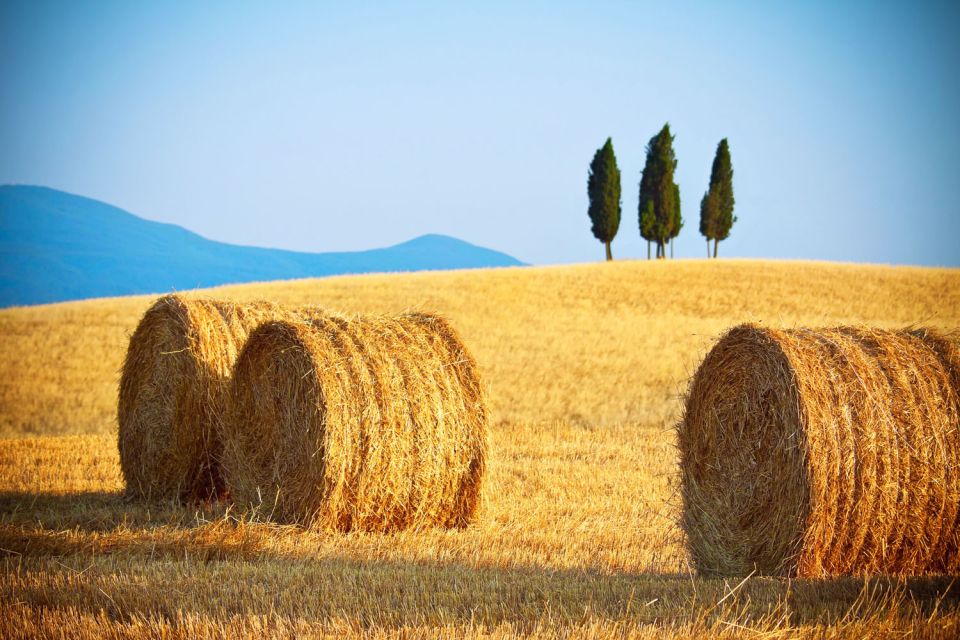 From Rome: Private Tuscany Day Trip - Pienza’s Renaissance center: Duomo di Pienza and the Piccolomini complex