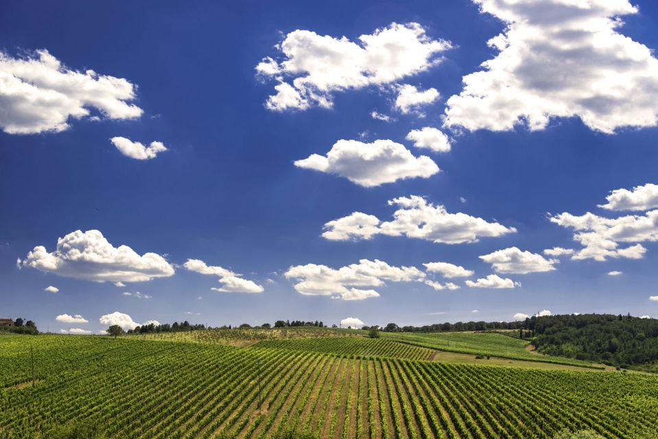 From Rome: Private Tuscany Day Trip - Optional winery visit and wine tasting: where the experience can shine or run long