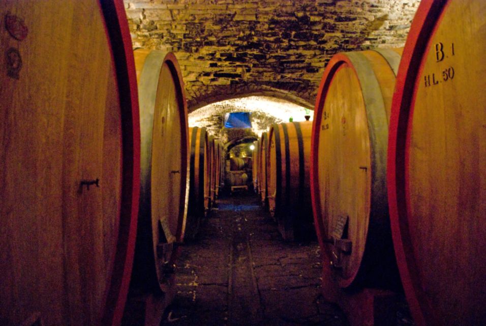 From Rome: Private Tuscany Day Trip - Timing, food, and how to keep the day from feeling rushed