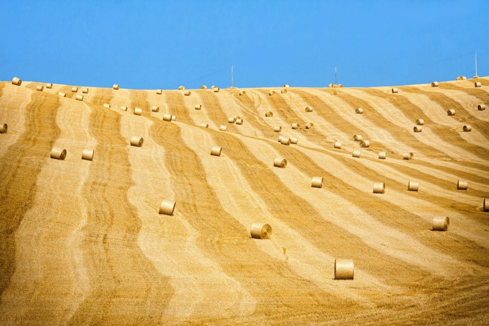 From Rome: Private Tuscany Day Trip - Price and value: what $553 buys you with a private driver
