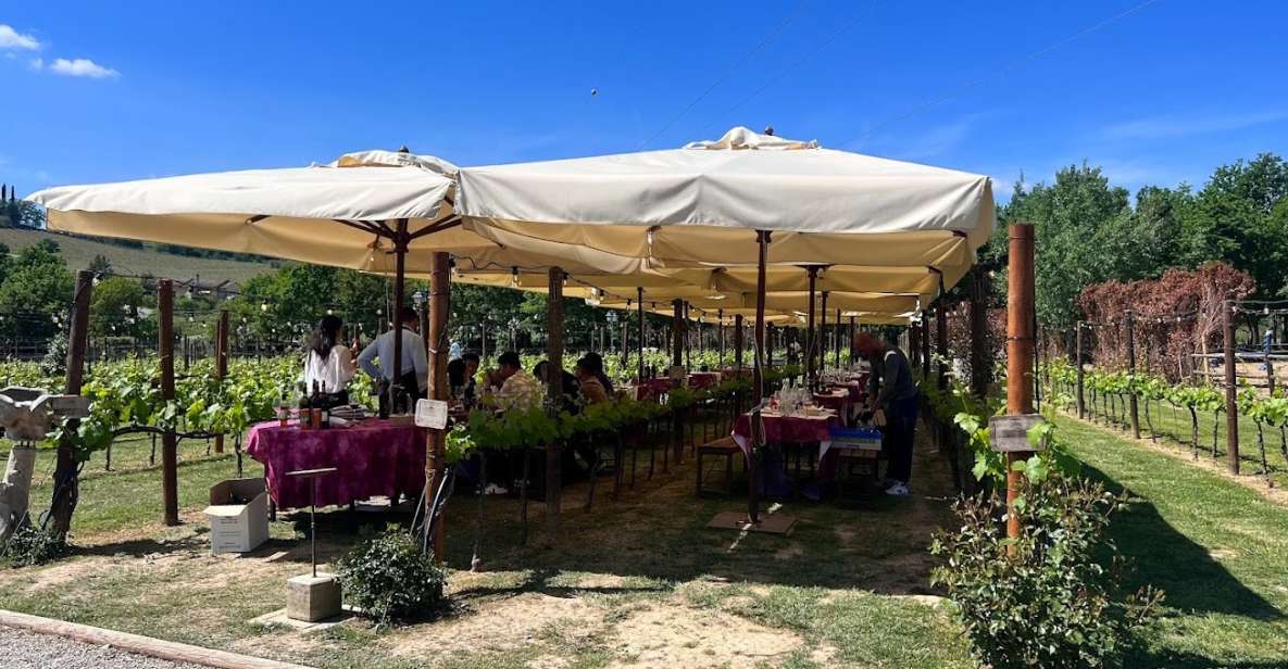 From Rome: Siena and S. Gimignano, Tuscany Wine One Day Tour - Key points before you go
