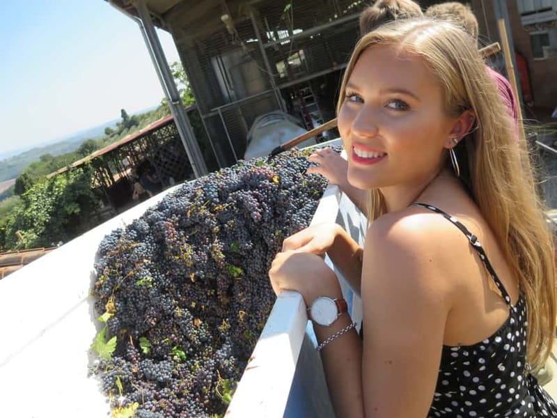 From Rome: Tuscany & Siena with Wine Tasting and Lunch - Price and Value vs DIY Tuscany in One Day
