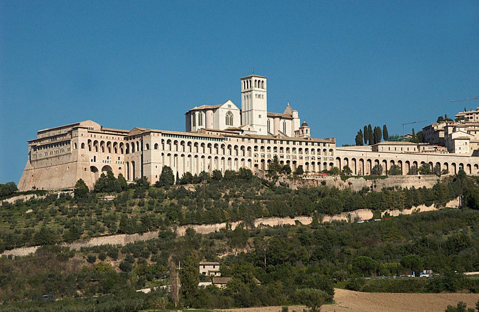 From Rome: Umbria, Assisi and Orvieto Day Tour - Who this day tour is best for