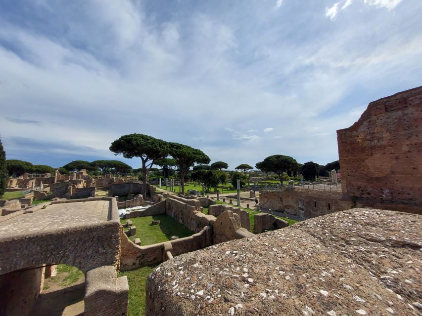 Ostia Antica: Archaeological Guided Private Tour - Winter reality check: what happens to the mosaics