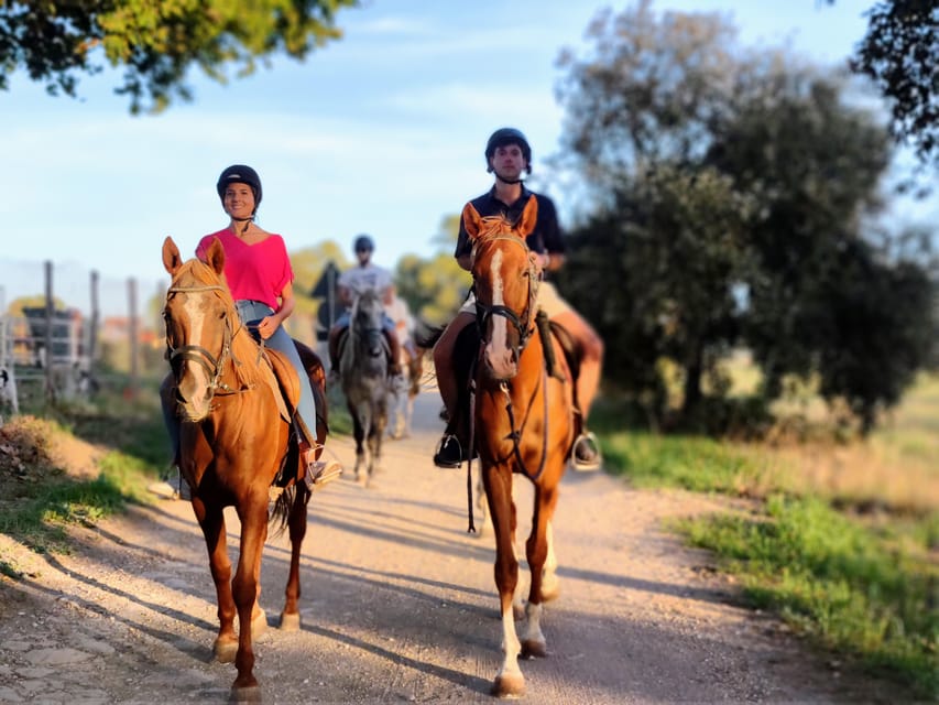 Ride in Rome with meal and wine included - Small groups and the guide factor: what makes the day feel personal