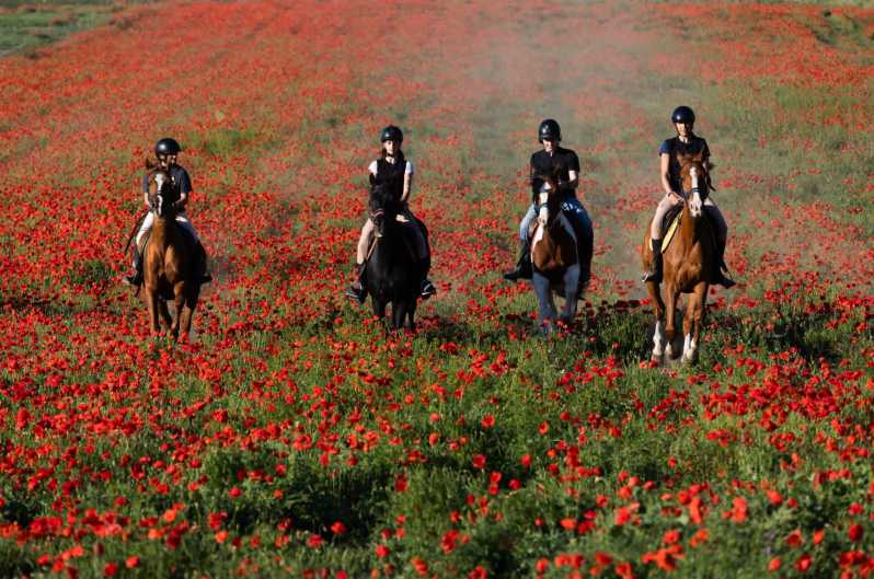 Ride in Rome with meal and wine included - Horse-Friendly Rome: the sanctuary moment that sets the tone
