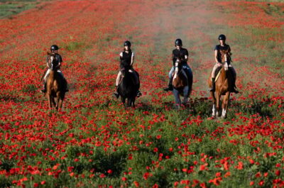 Ride in Rome with meal and wine included - From pinewoods to Ostia Antica: what the ride really feels like