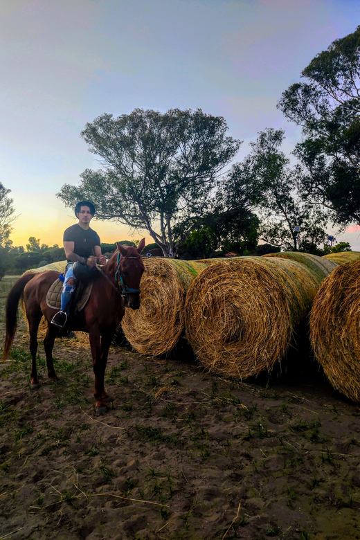 Ride in Rome with meal and wine included - Tack up and prep: what happens before you move toward the ruins