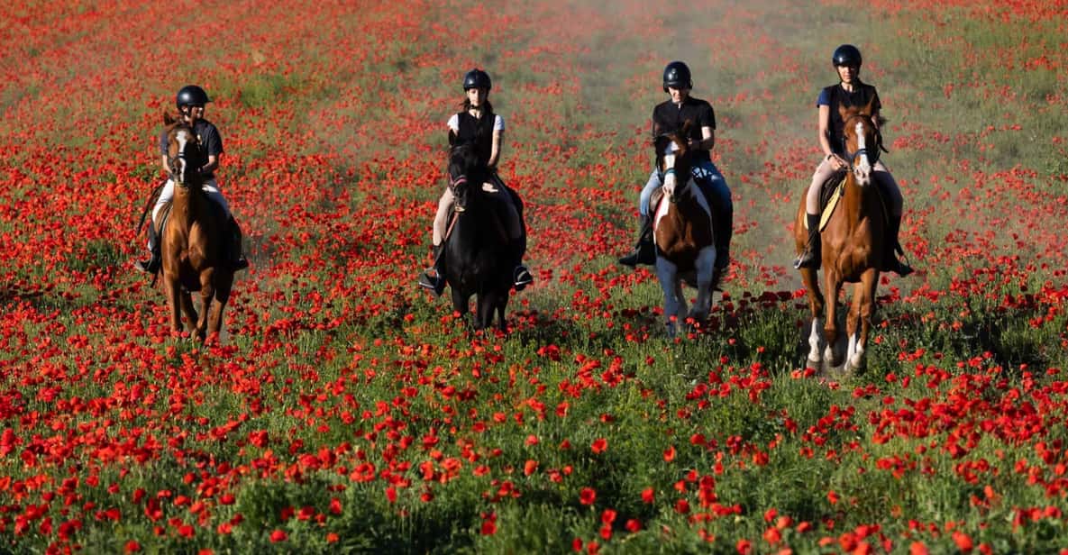 Ride in Rome with meal and wine included - Ostia Antica on horseback: ruins, coffee, and that in-between feeling