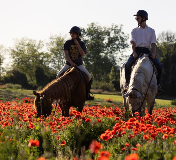 Ride in Rome with meal and wine included - Lunch and wine near the beach: why it feels different here