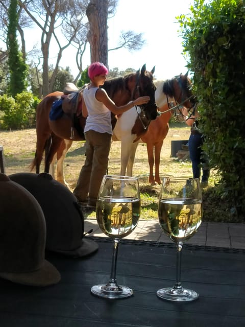 Ride in Rome with meal and wine included - Riding level rules: posting trot, canter, and English saddle basics
