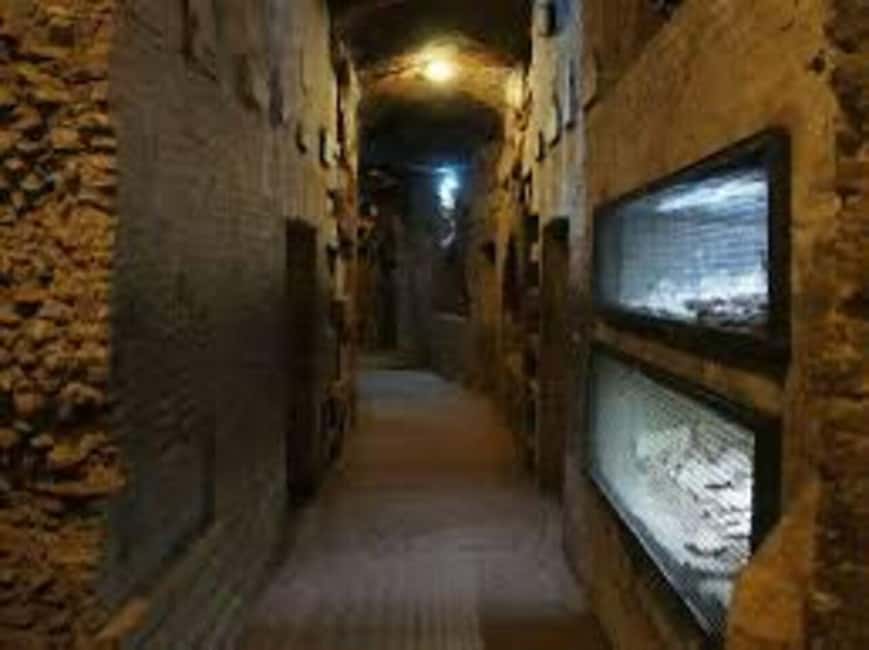 Rome: Appian Catacombs tour with transfere - Who This Tour Fits Best (and Who Might Want Alternatives)