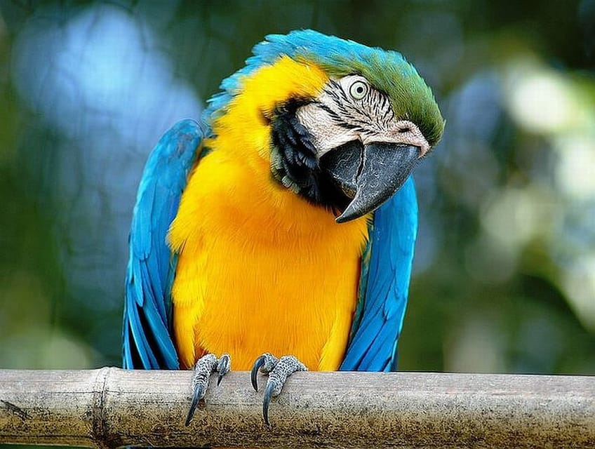 Rome: Bioparco di Roma Zoological Garden Entry Ticket - Key Things You’ll Notice Right Away