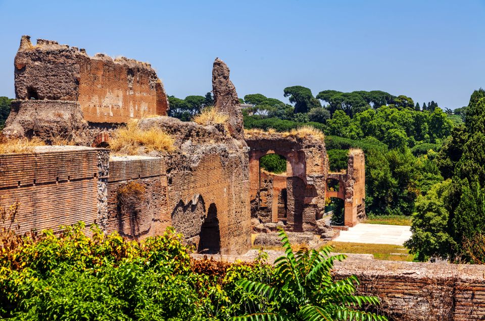 Rome: Caracalla, Colosseum, Circus Maximus Private Tour - A 3-Hour Private Roman Empire Mashup