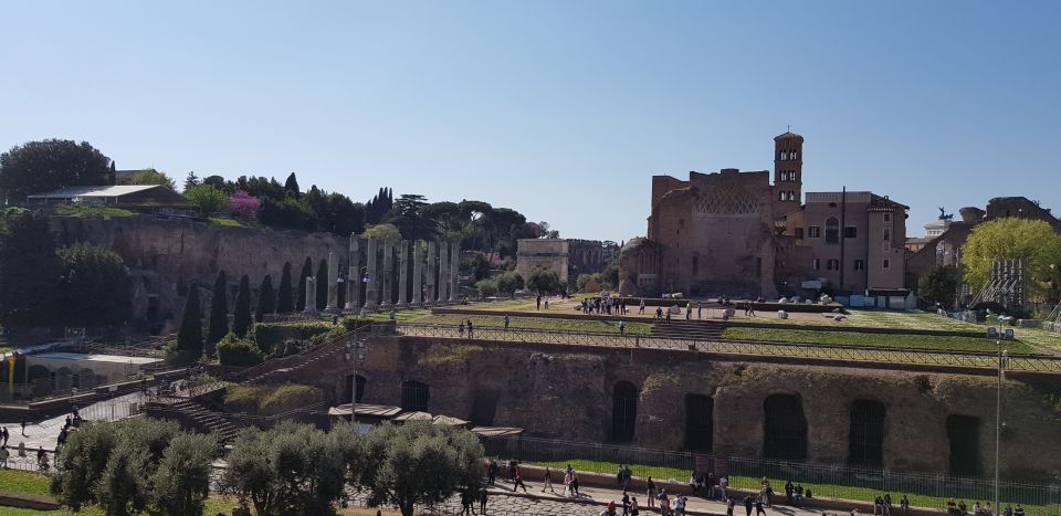 Rome: Colosseum Arena, Forum & Palatine Hill Private tour - Gladiator-Door Entry: What the 3-hour Private Pace Feels Like