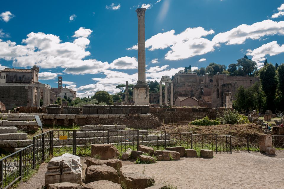 Rome: Colosseum Arena, Forum & Palatine Hill Private tour - Palatine Hill: From Romulus to the Palaces of the Powerful
