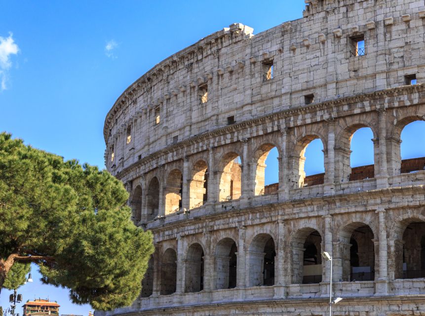 Rome: Colosseum, Forum and Palatine Hill Private Guided Tour - Price check: what $619.95 per group really buys you